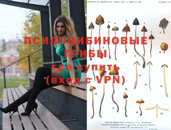 мефедрон Вяземский
