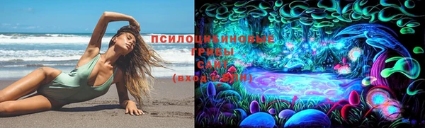 прущие крисы Пенза