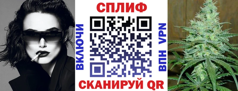 Бошки Шишки тримм Гудермес